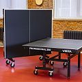 Стол для настольного тенниса VISTA PROFESSIONAL 250