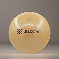 Мяч для пилатеса BLOOM 30см LB7000/30