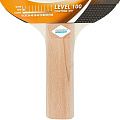 Набор для настольного тенниса DONIC/Schildkrot Appelgren Line Level 100