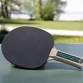 Ракетка для настольного тенниса DONIC/Schildkrot Champs Line 400