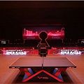 Стол для настольного тенниса DHS W1000 ITTF (LED)
