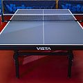 Стол для настольного тенниса VISTA PROFESSIONAL 250