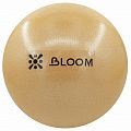 Мяч для пилатеса BLOOM 30см LB7000/30