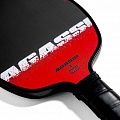 Ракетка для пиклбола Joola Agassi Edge 16
